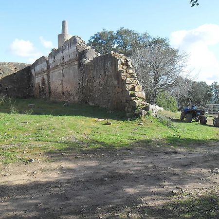 Villa Monte Do Brejinho De Agua à Carvalhal  Extérieur photo